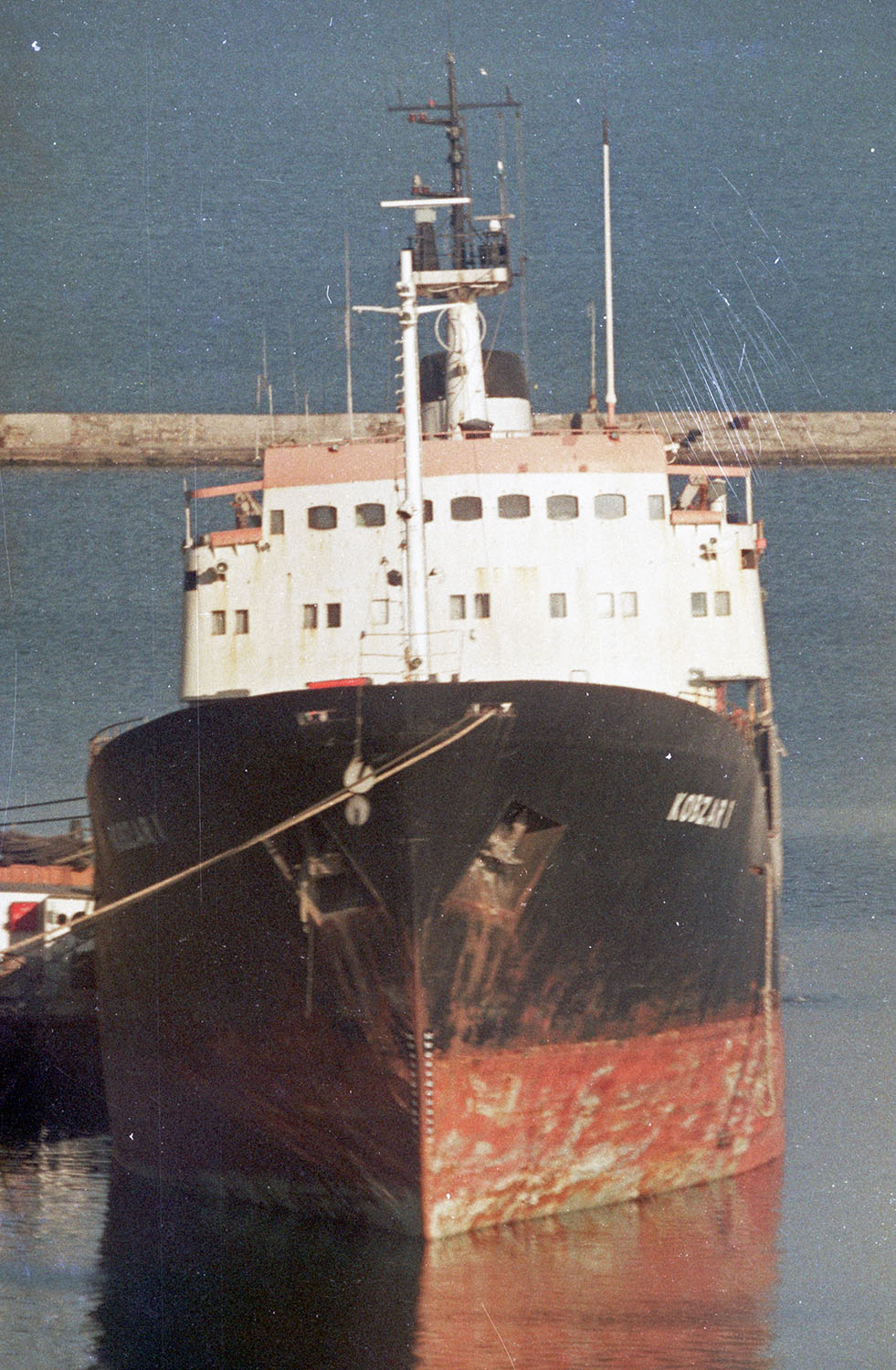 Kobzar I