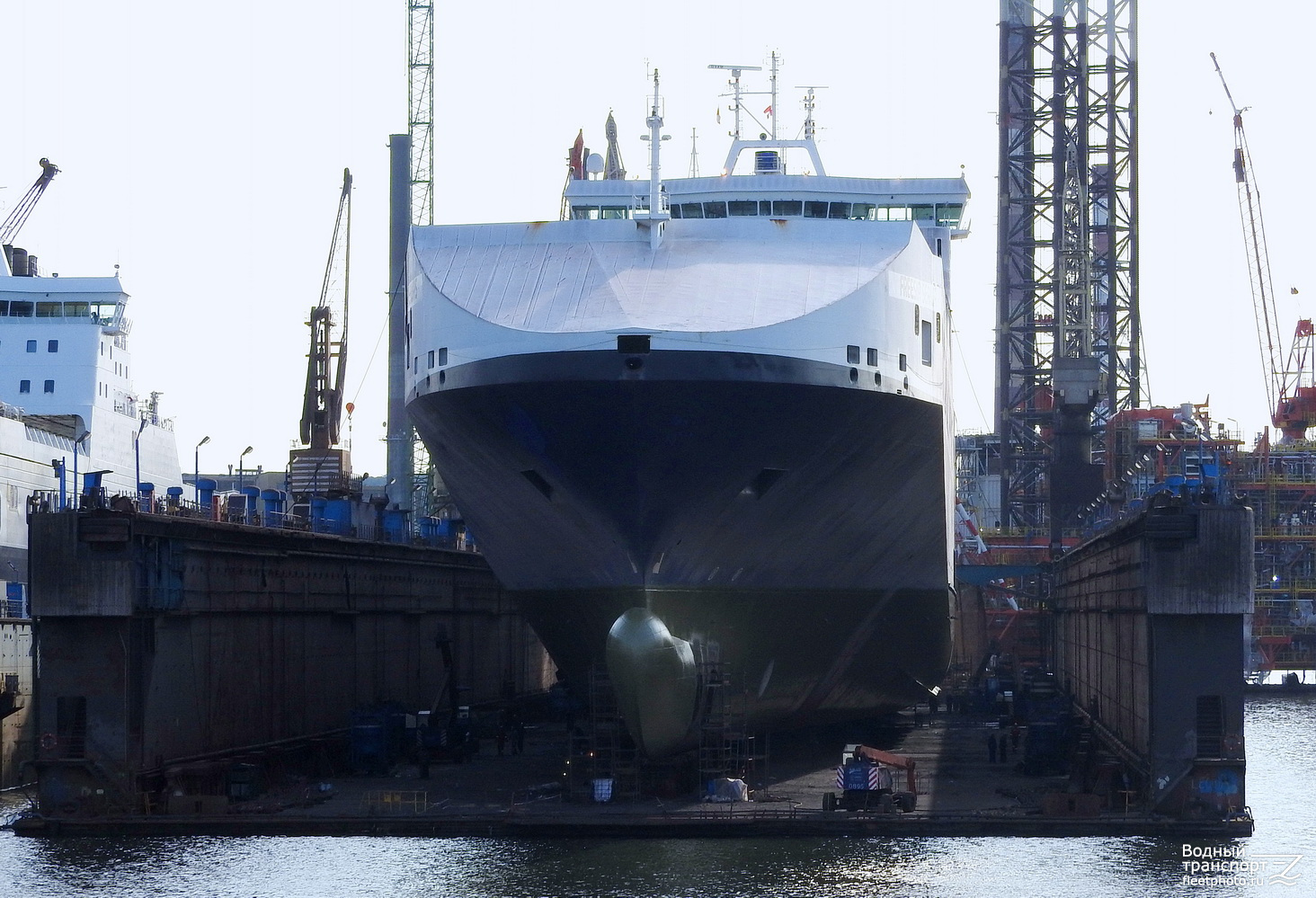 Freesia  Seaways