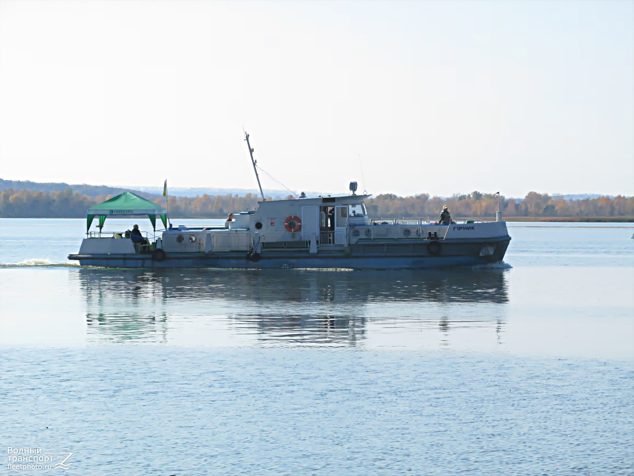 Гiрник