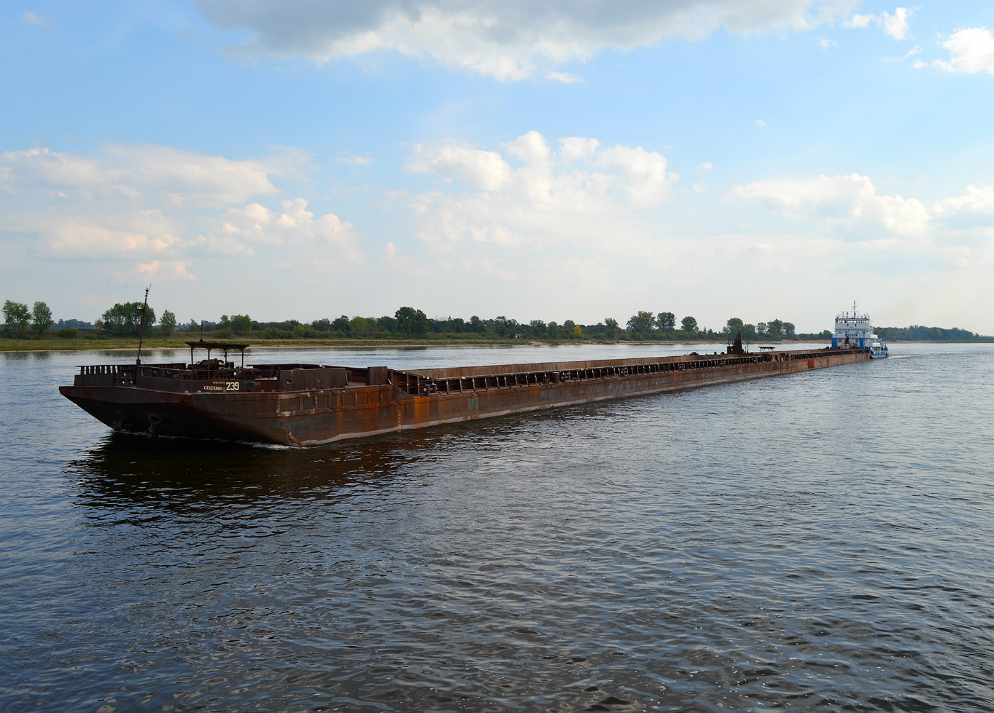 Секция-239