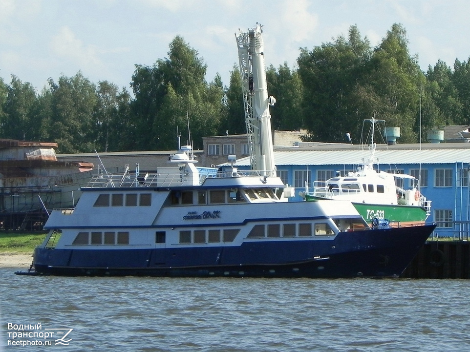 Одинокий волк