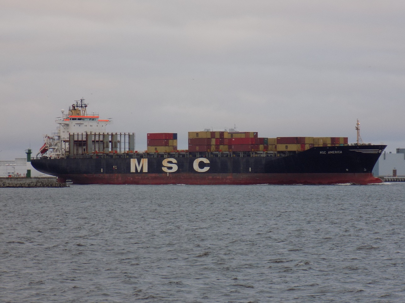 MSC America