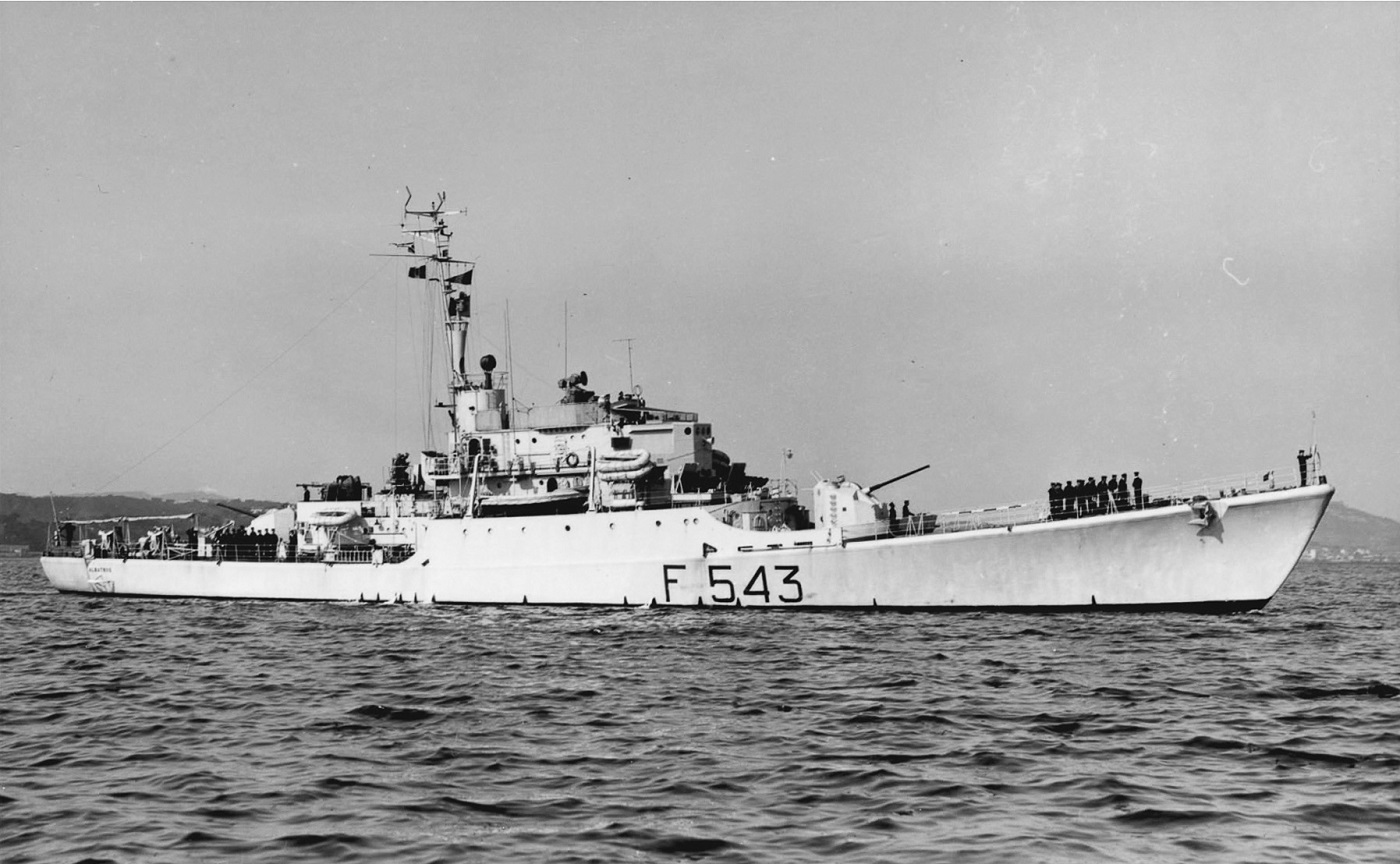Albatros