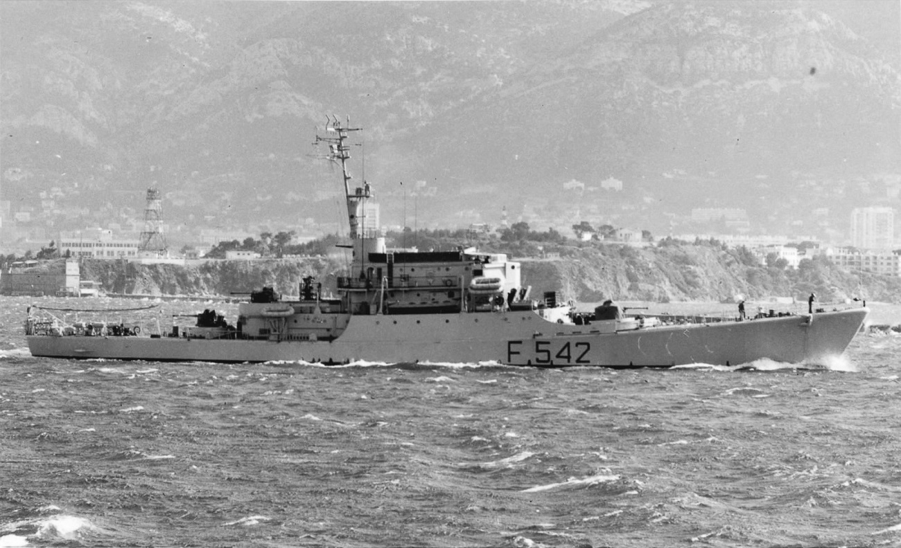Aquila