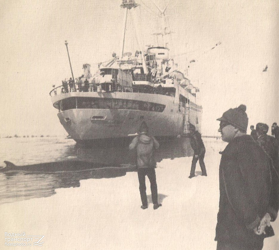 Профессор Зубов. Книги, фотоальбомы и периодические издания