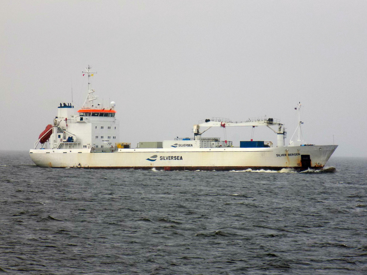 Silver Bergen