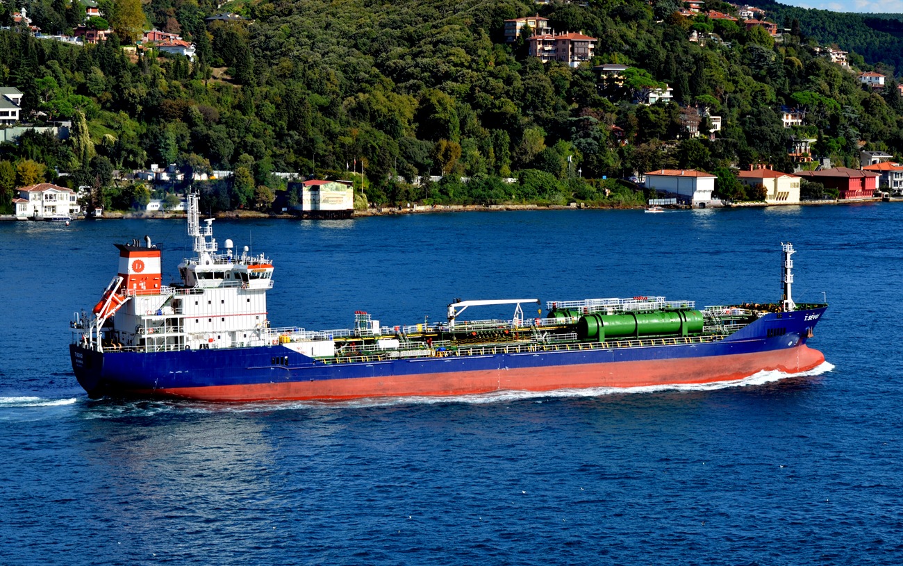 T. Sevgi