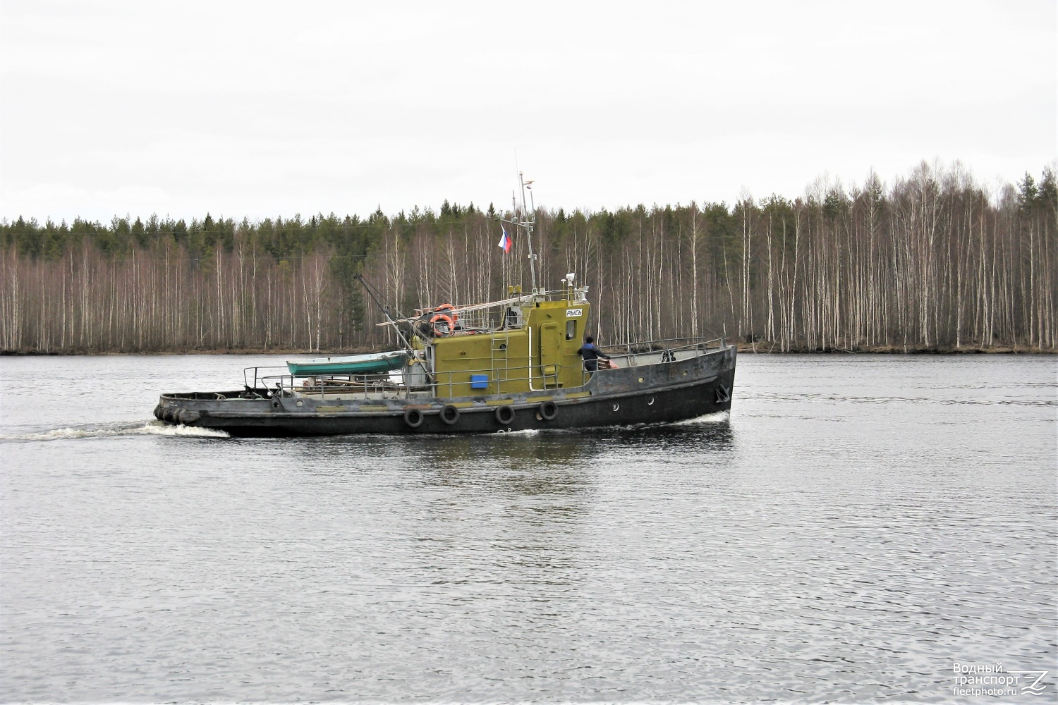 Рысь
