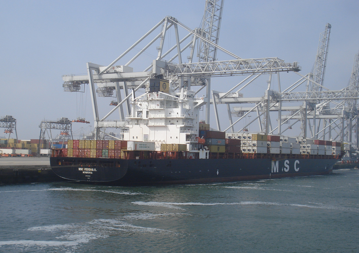 MSC Vidisha R