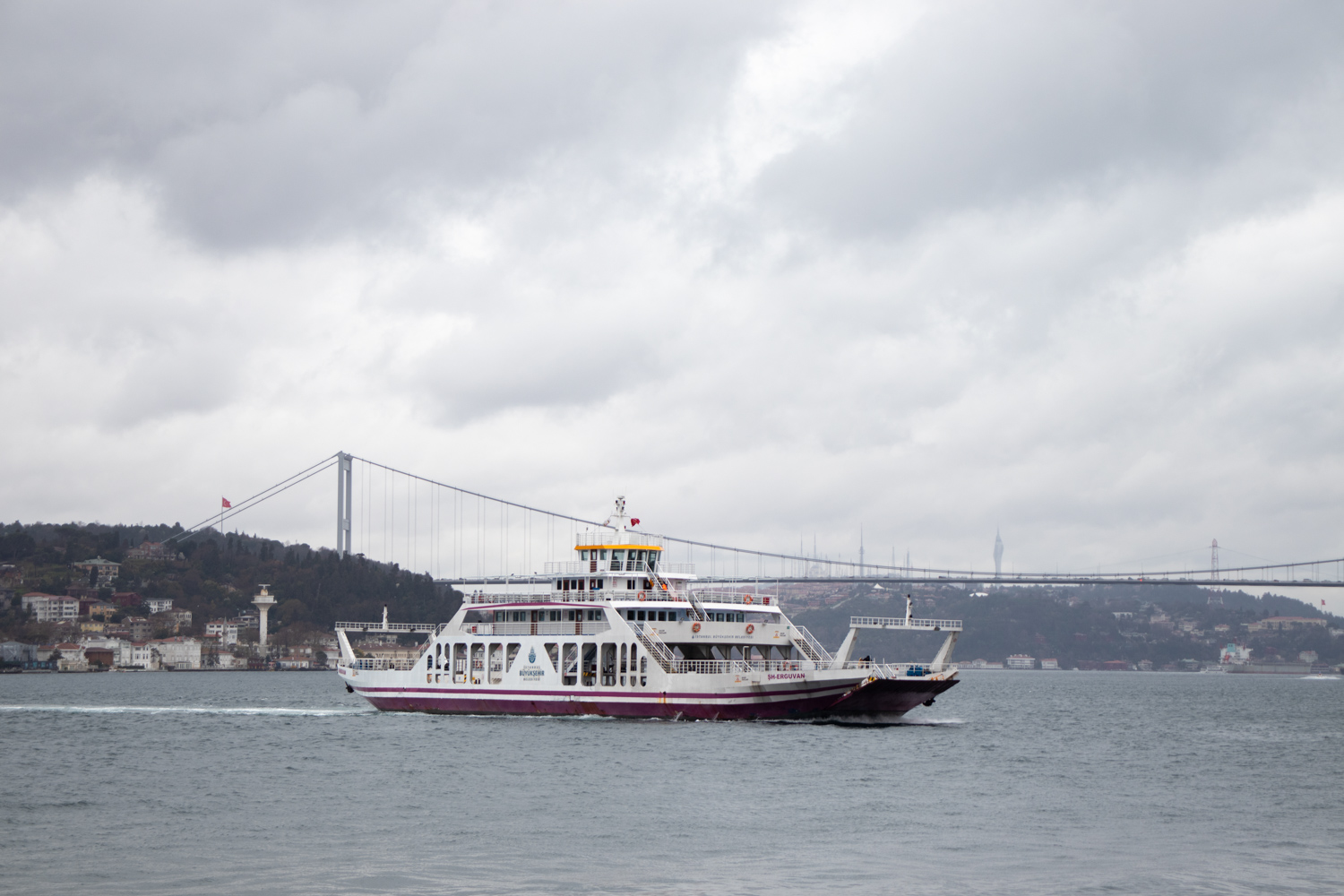 ŞH-Erguvan