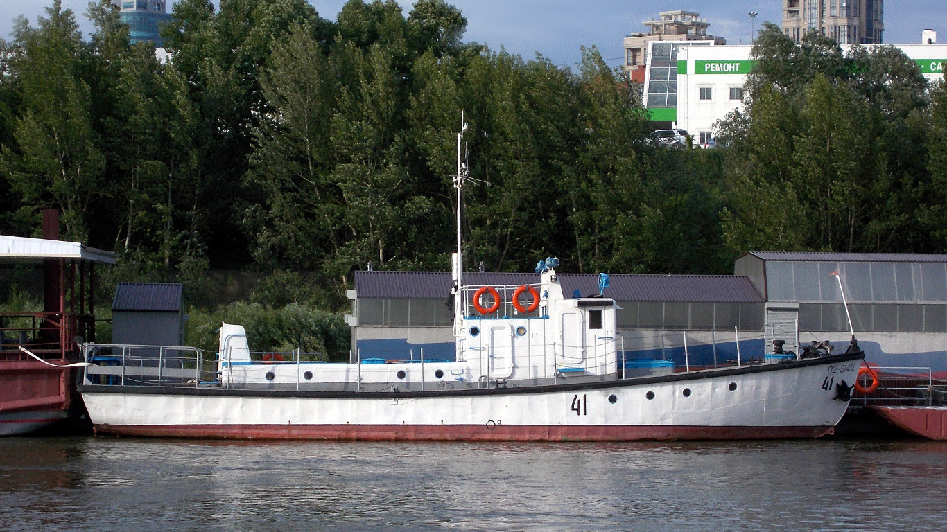 41