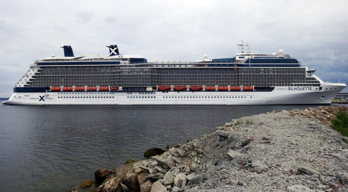 Celebrity Silhouette