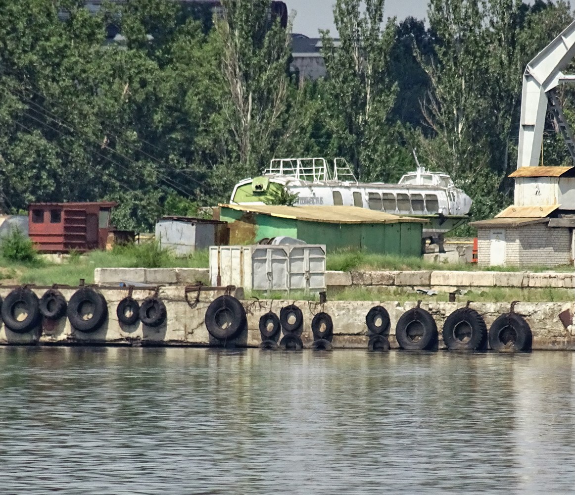 Полiсся-11