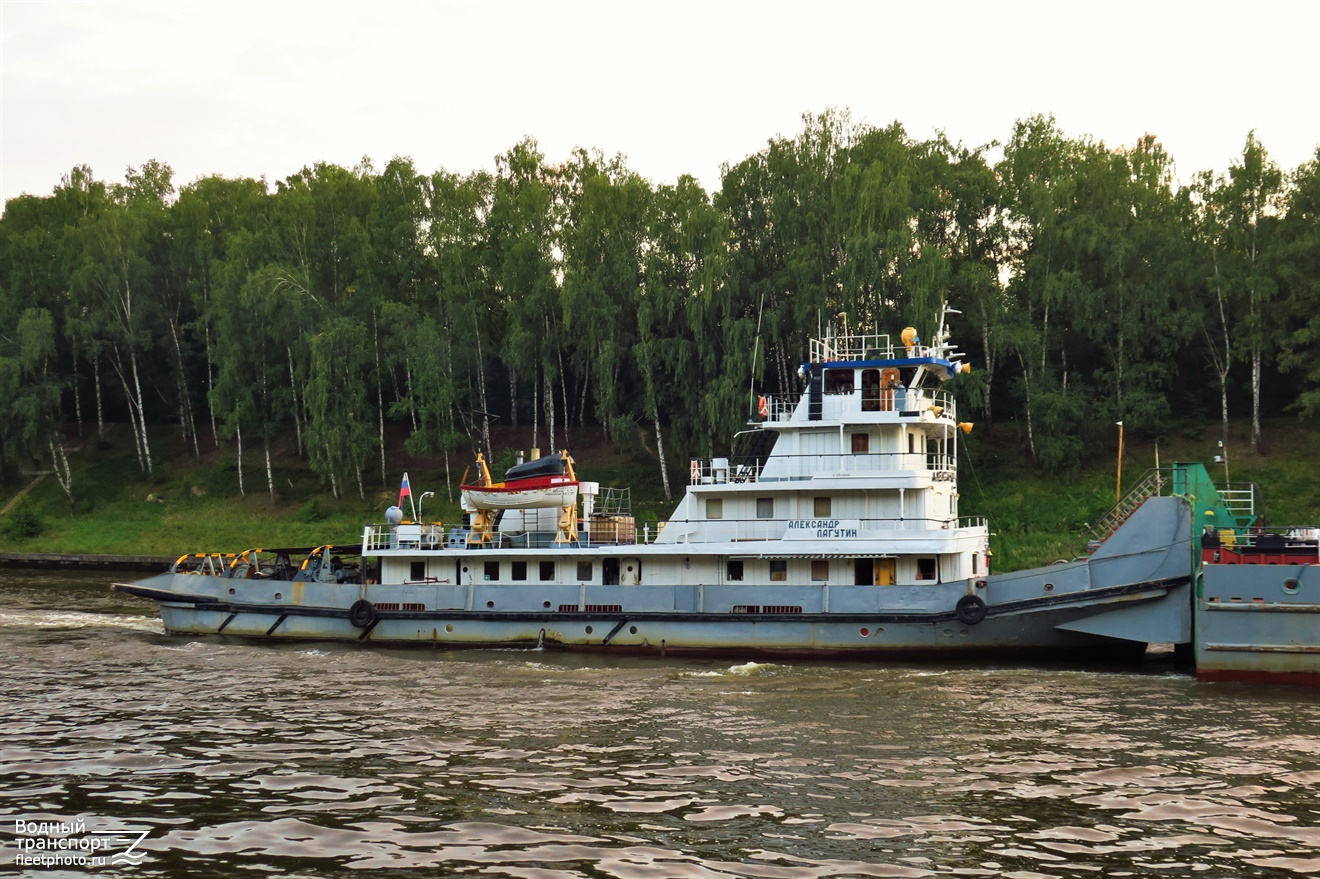 Александр Лагутин