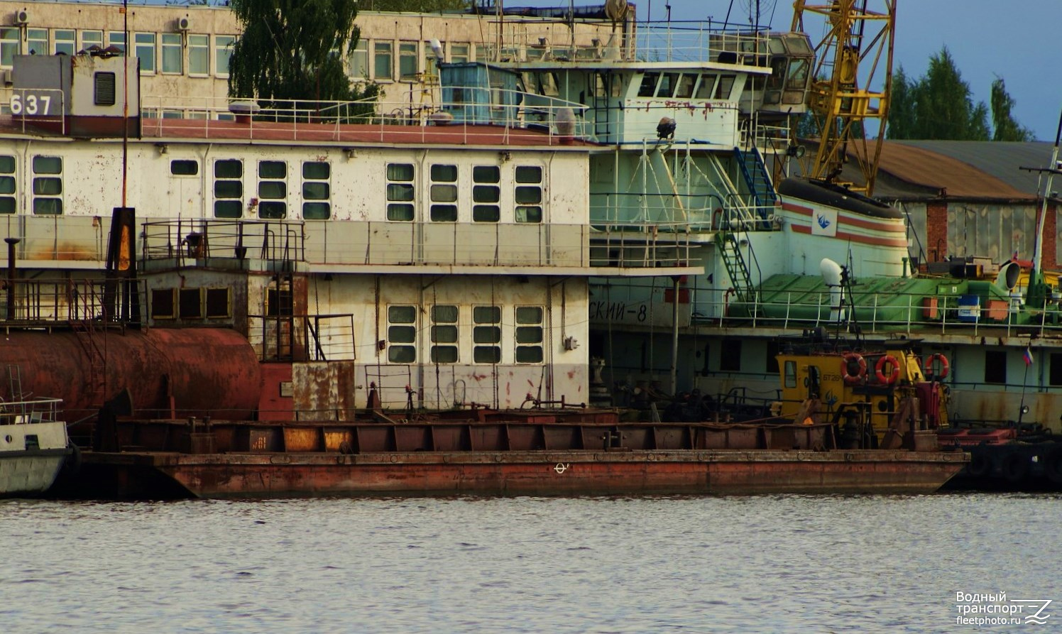 №61