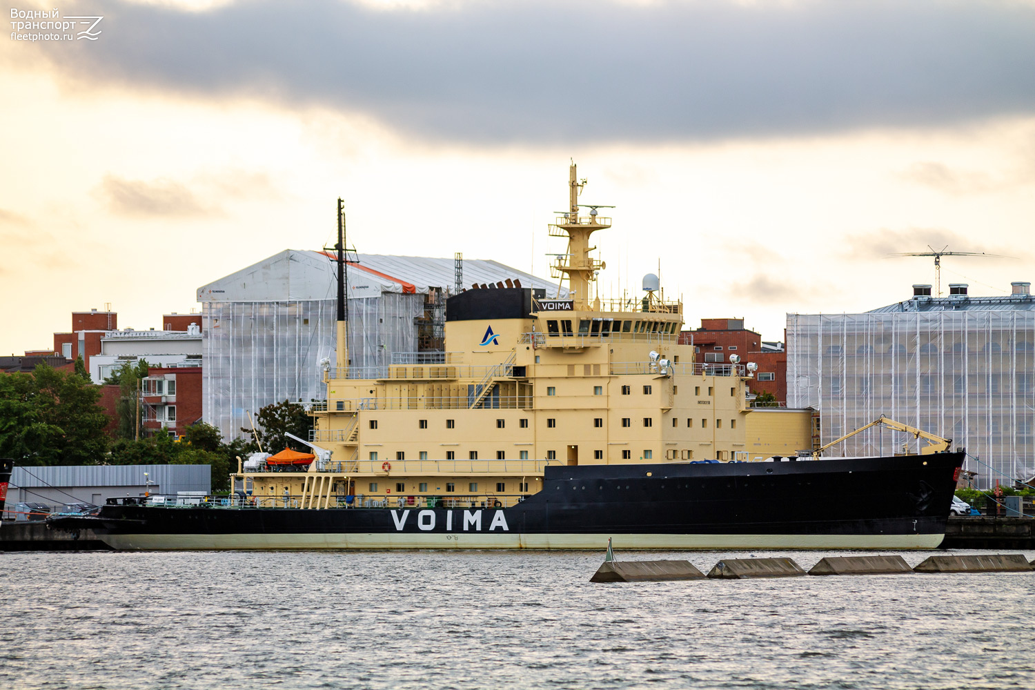 Voima