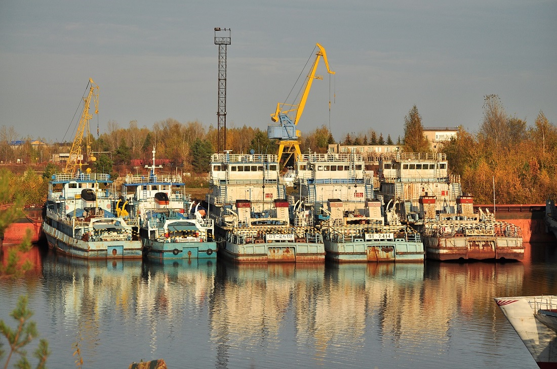 Дунайский-40, Дунайский-57, ОТ-2419, ОТ-2414, ОТ-2406