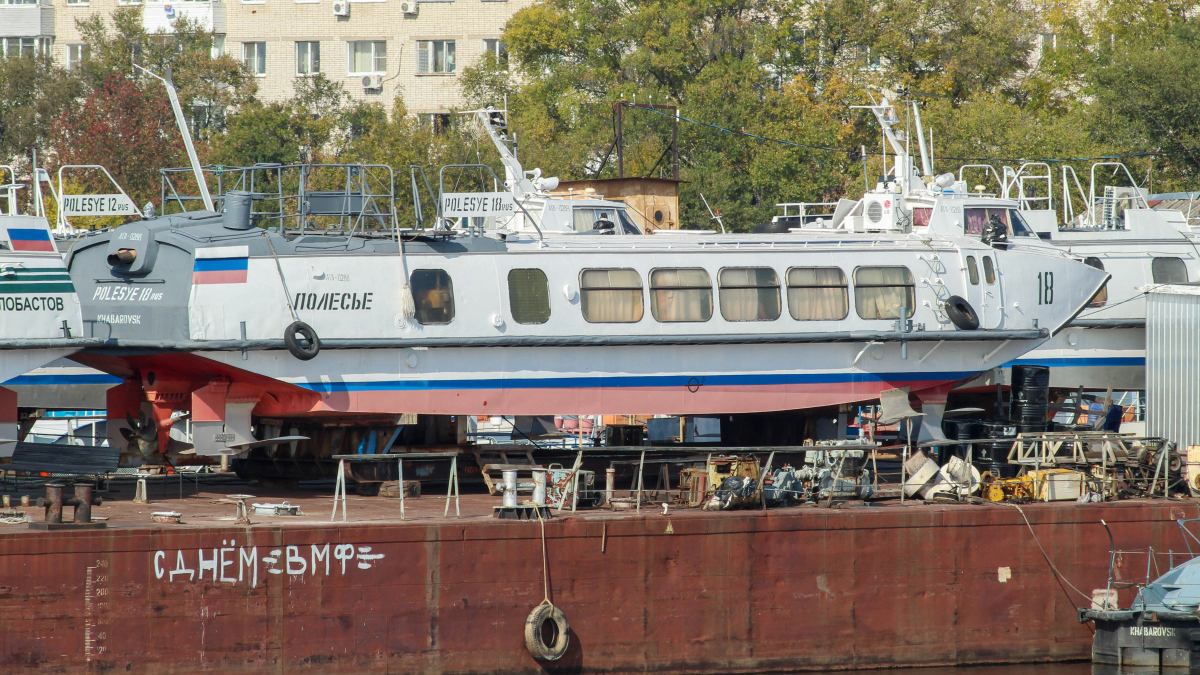 Полесье-18