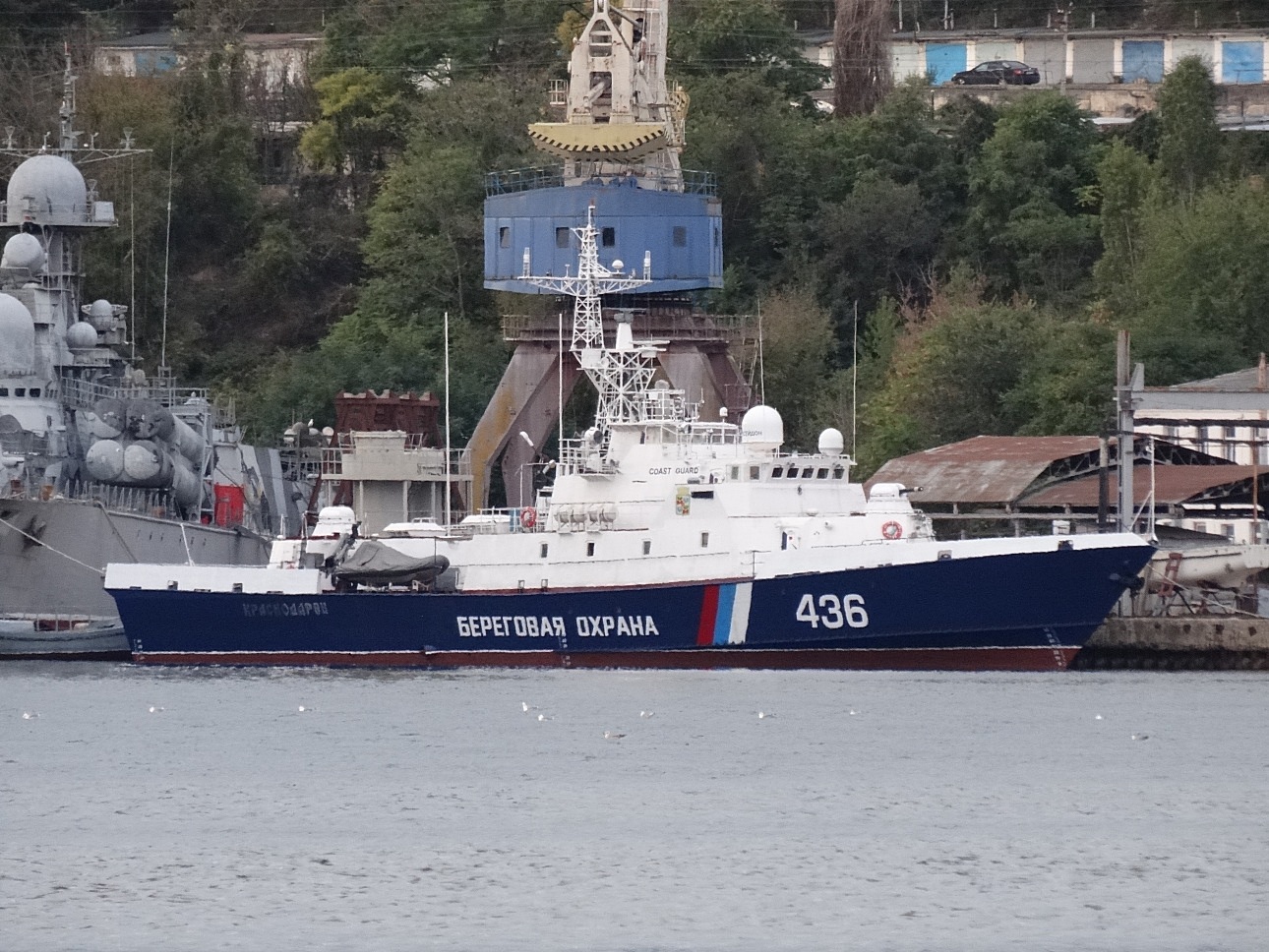 Краснодарец