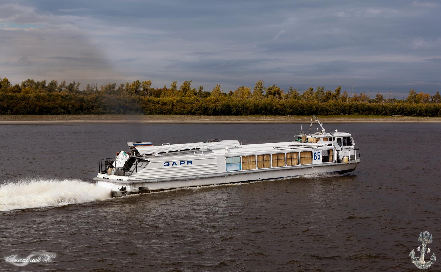 Заря-65