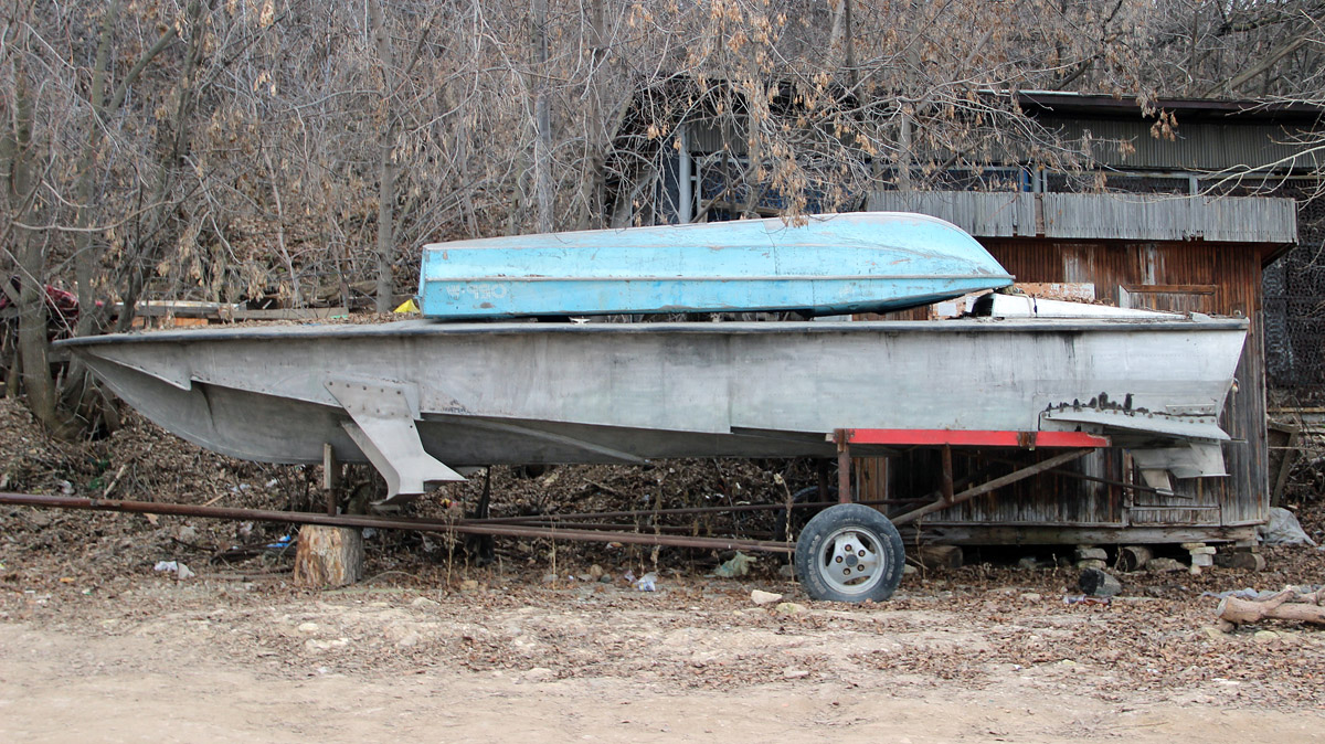 Альбатрос
