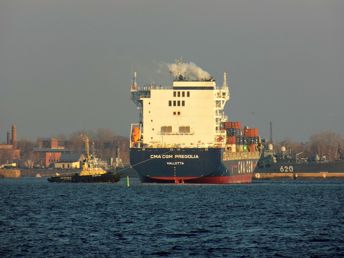 Петергоф, CMA CGM Pregolia