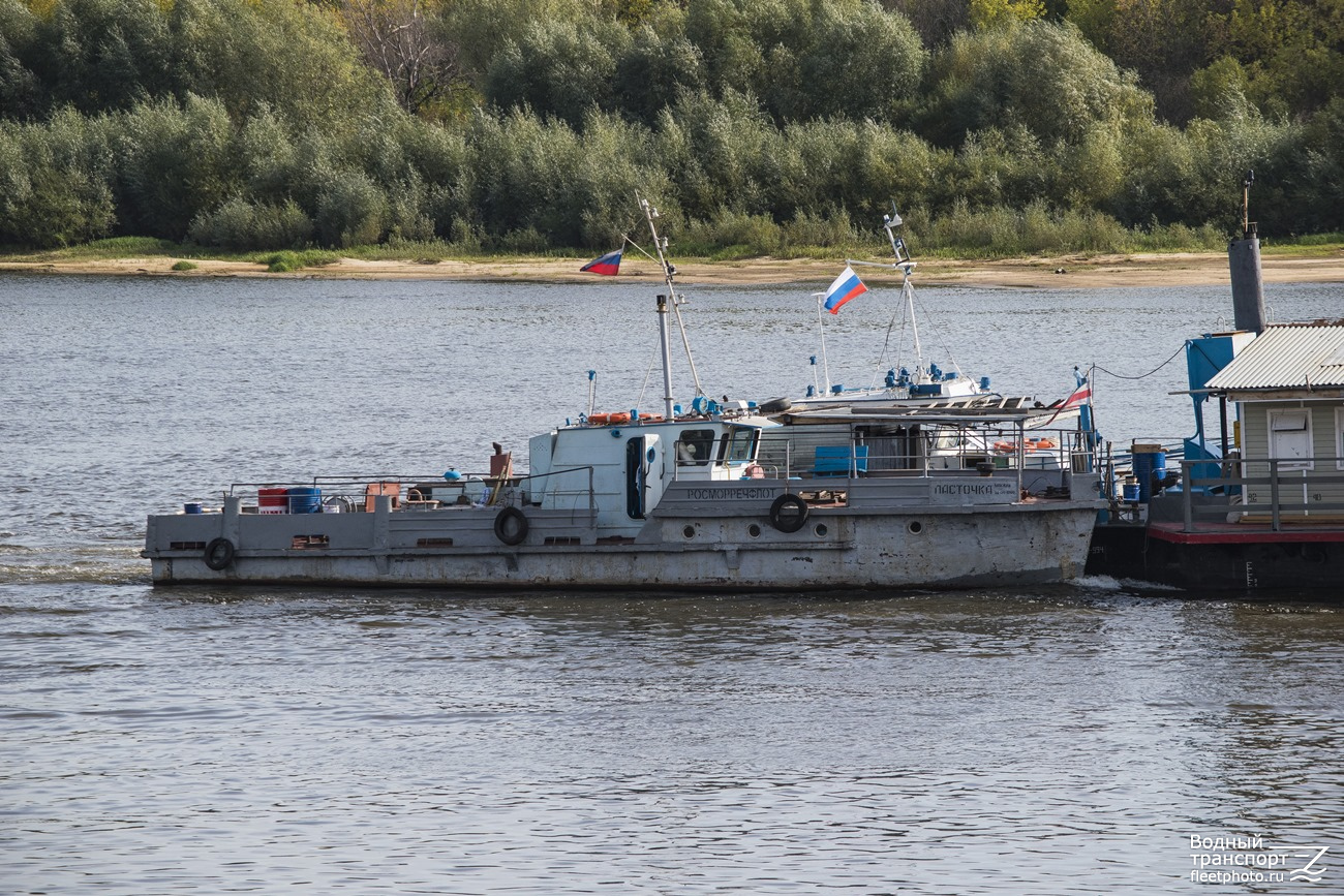 Ласточка