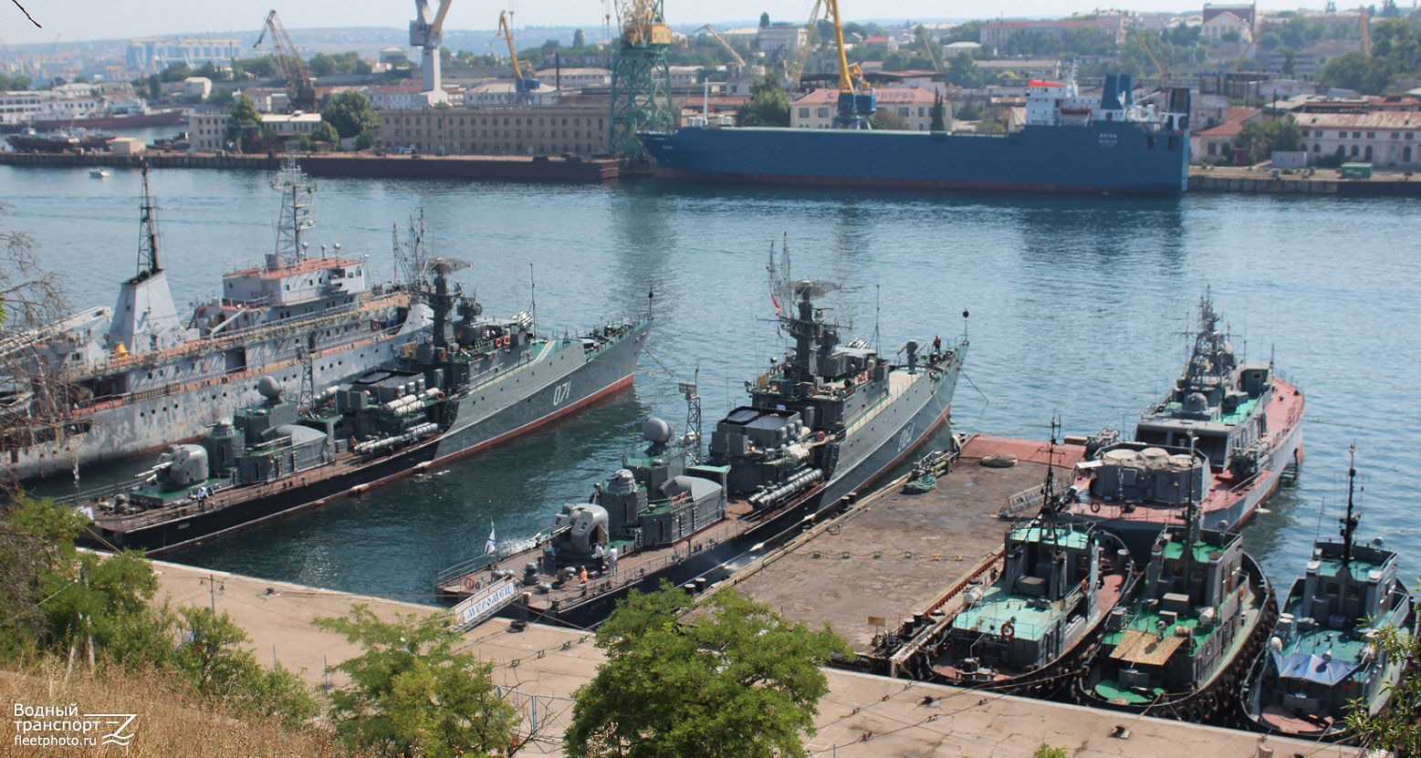 СР-137, Aviva, Владимирец, РБ-247, РБ-244