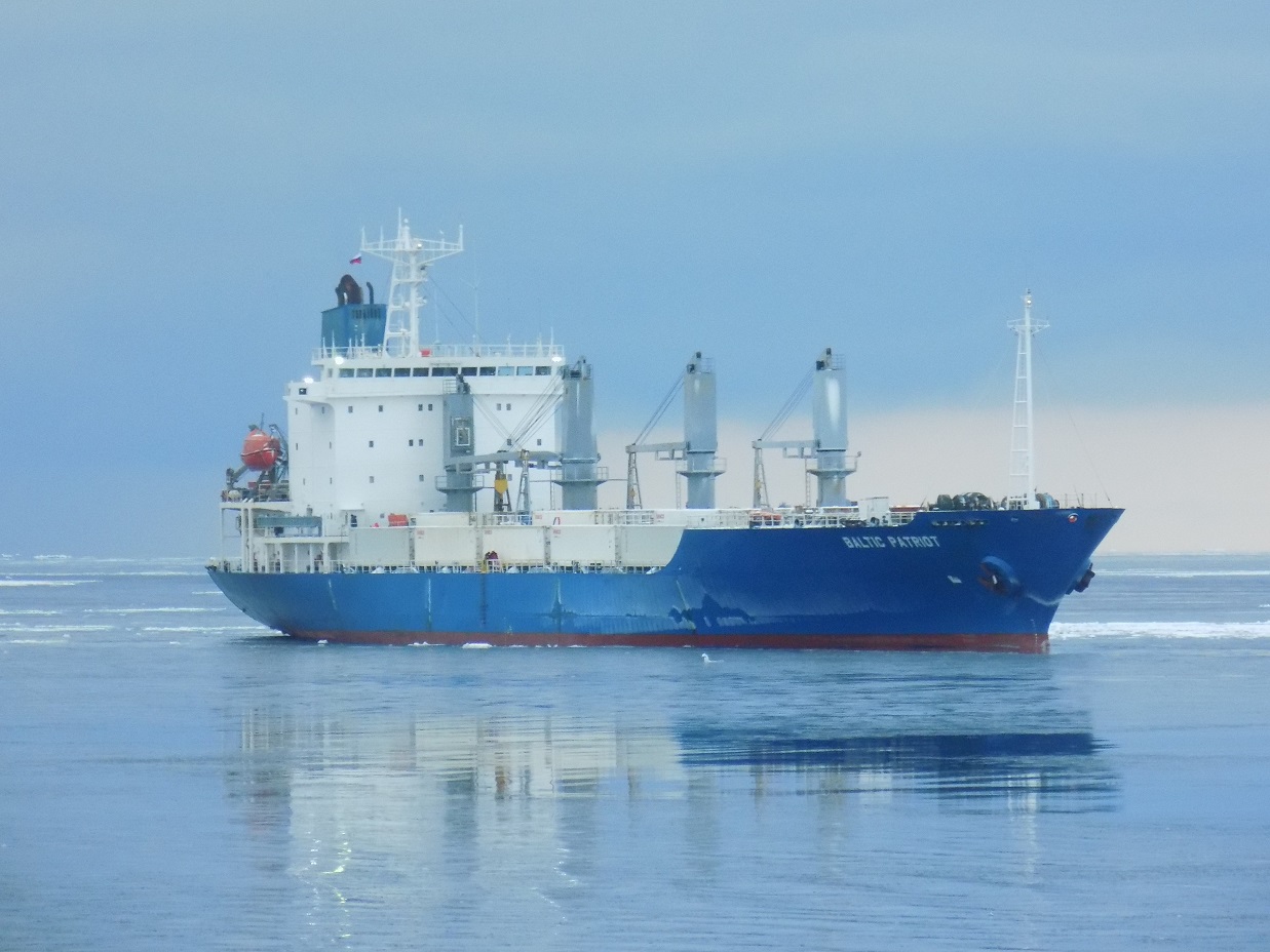 Baltic Patriot