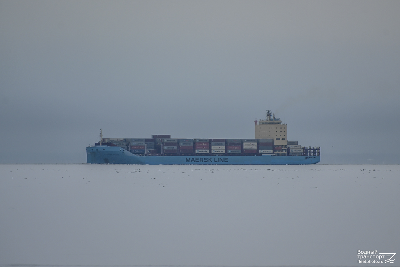 Vayenga Maersk