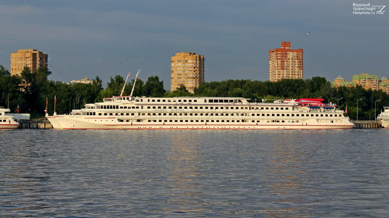 Зосима Шашков