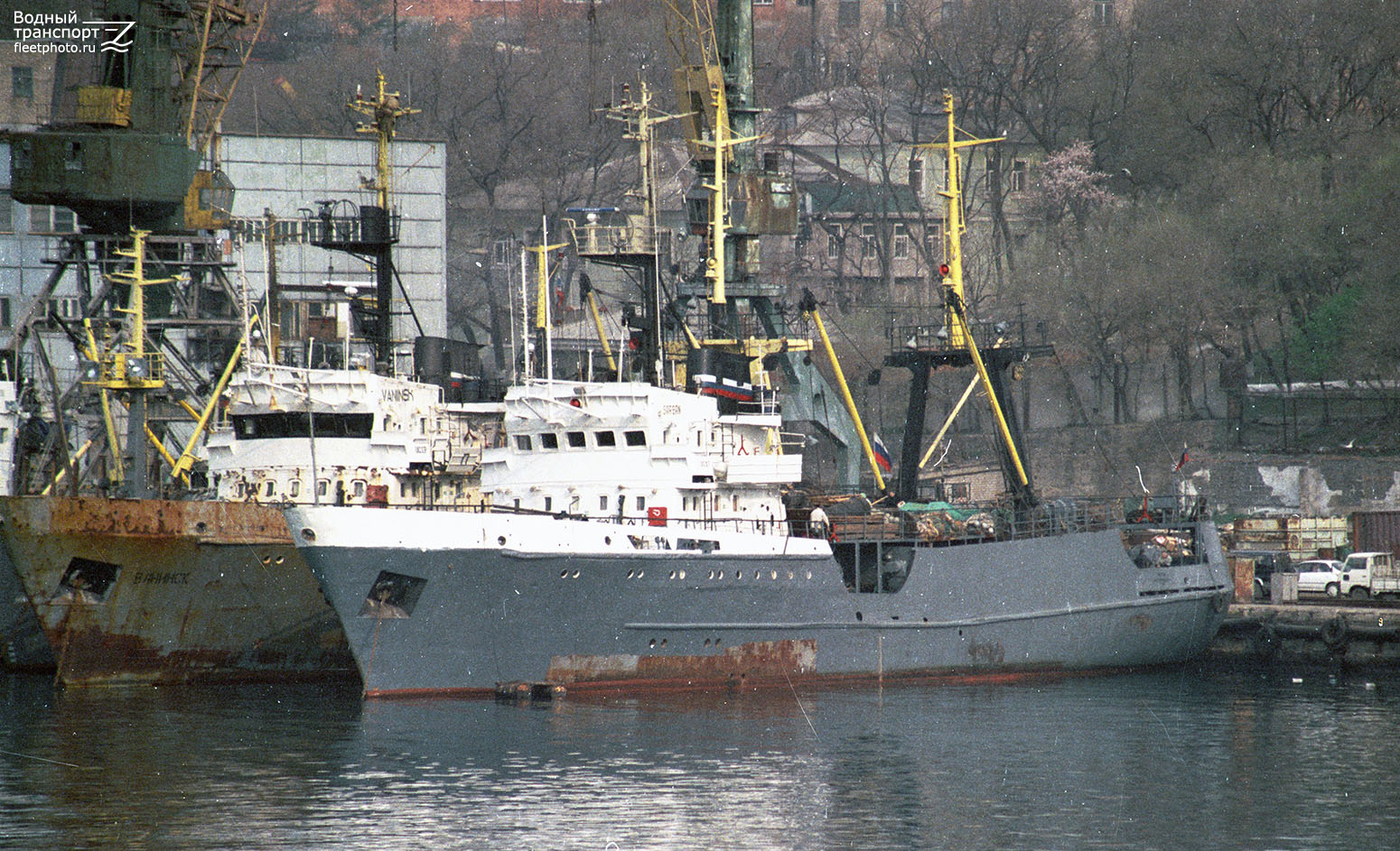 Сарган