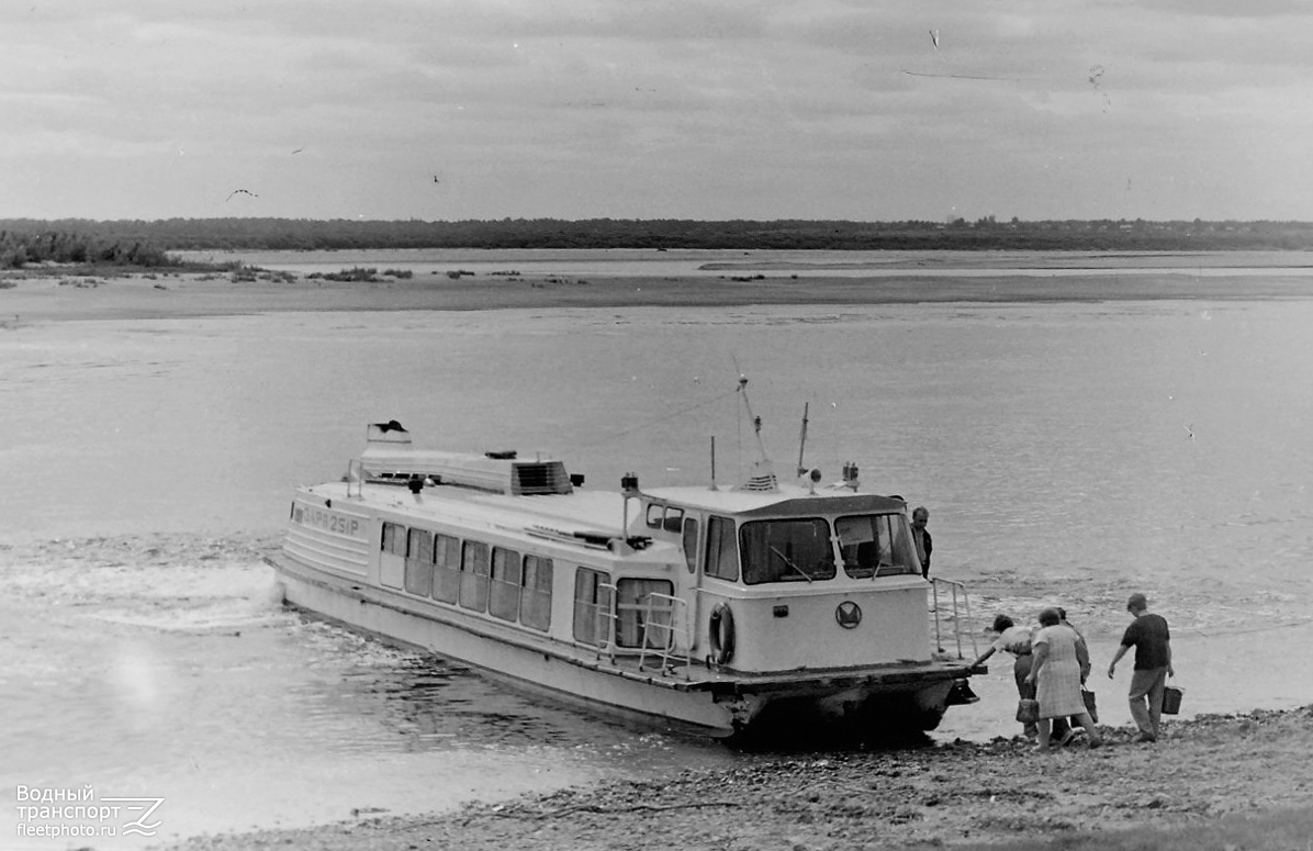Заря-251Р