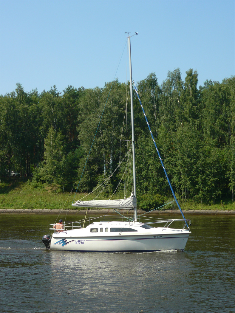 Nauta