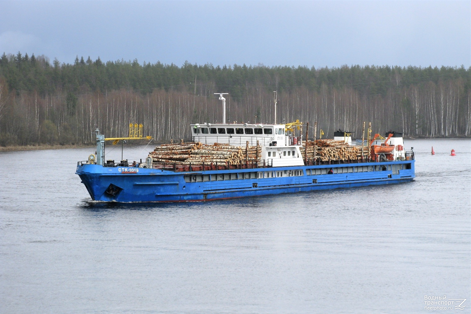 СТК-1019