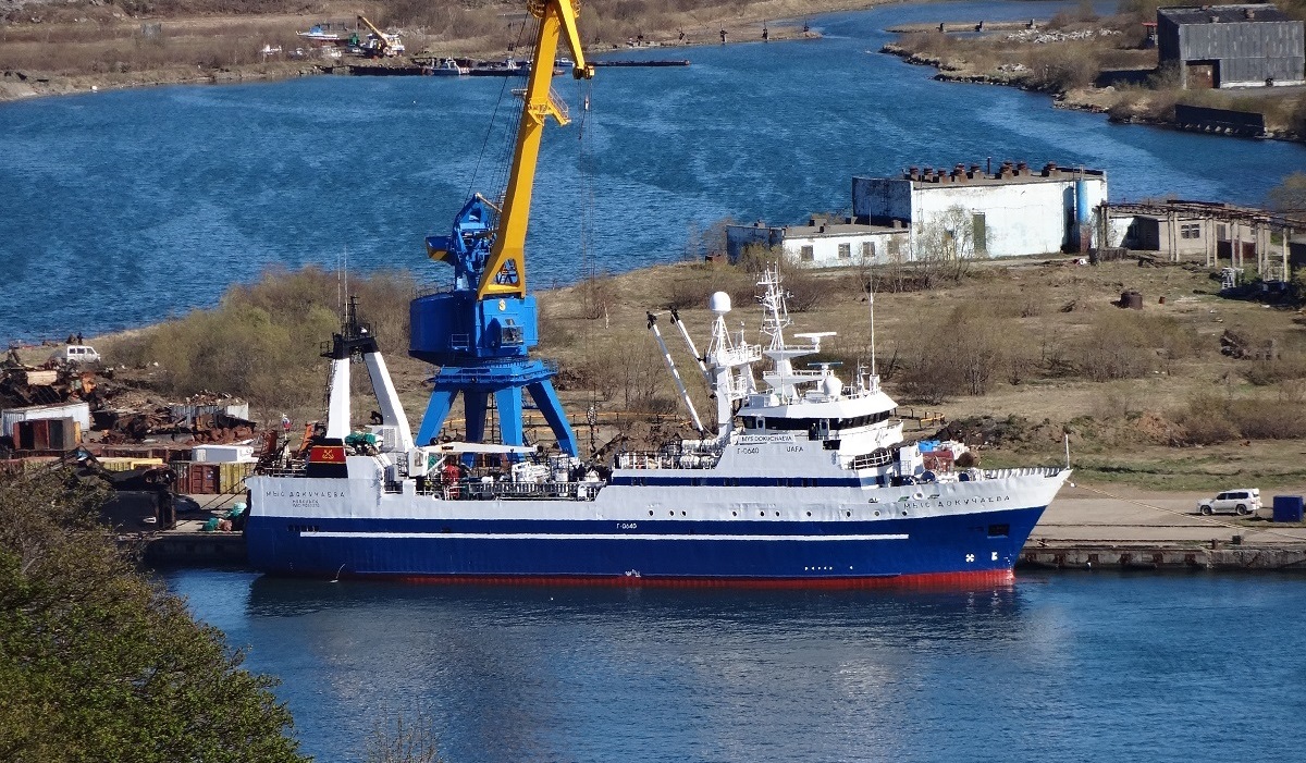 Мыс Докучаева