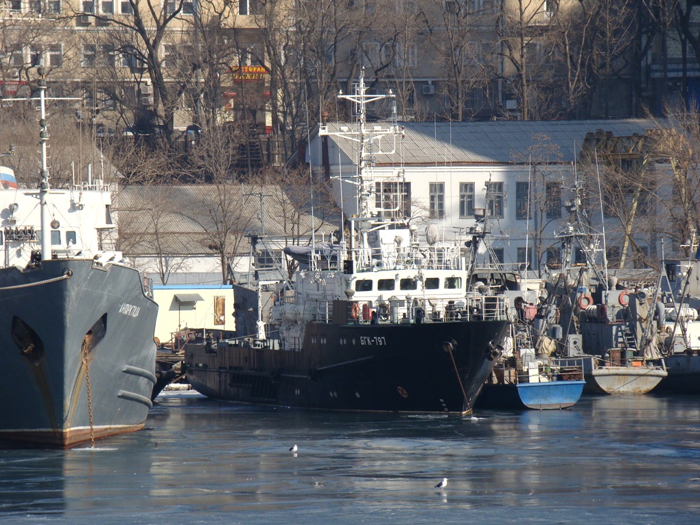 БГК-797