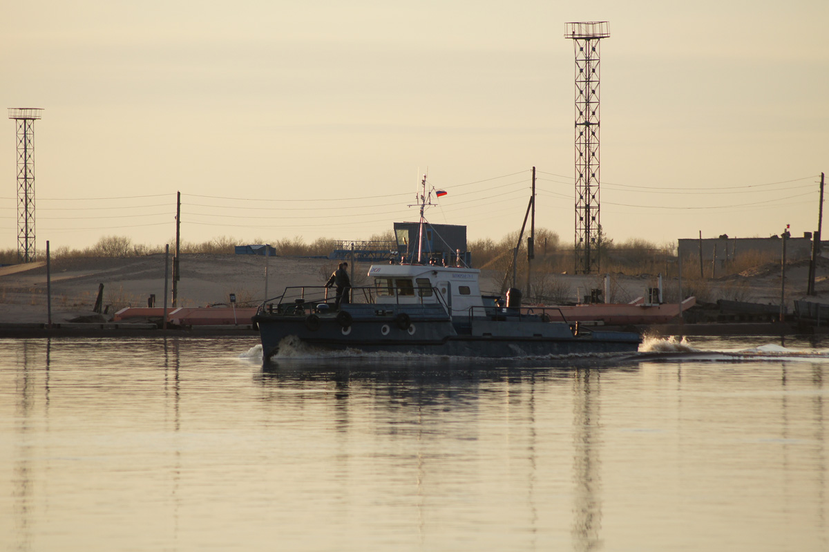 Вектор