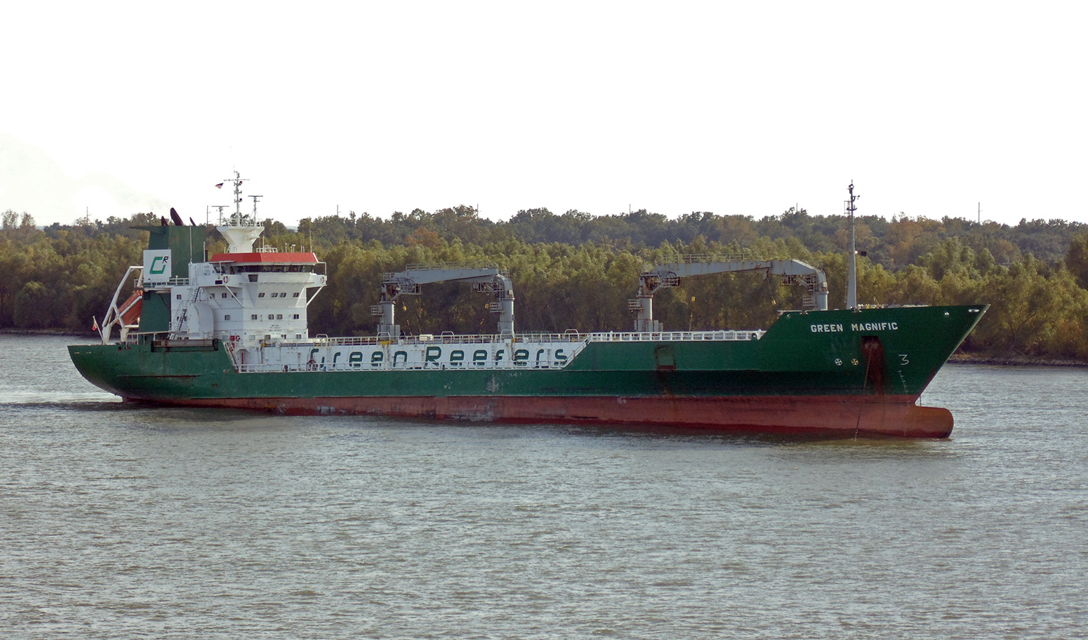 Green Magnific