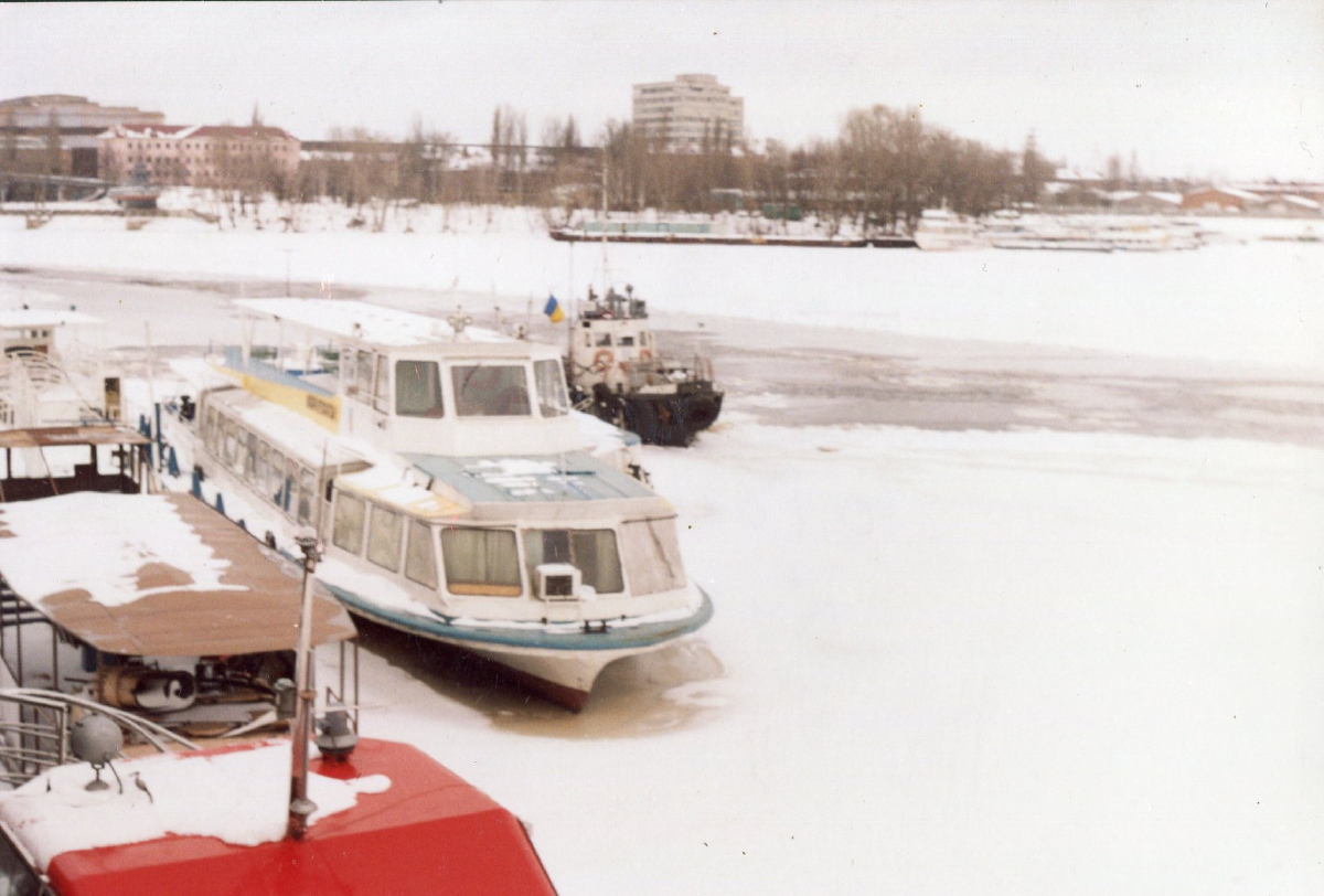 Говерла, Льоня Голiков