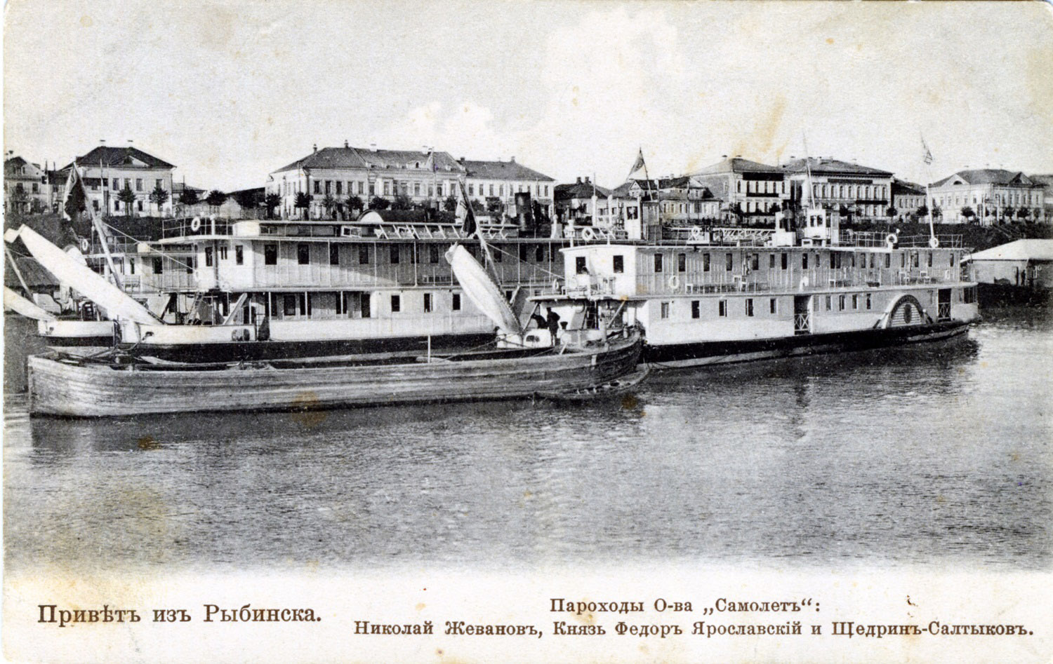 Николай Жеванов, Князь Фёдор Ярославский, Щедрин-Салтыков. Книги, фотоальбомы и периодические издания