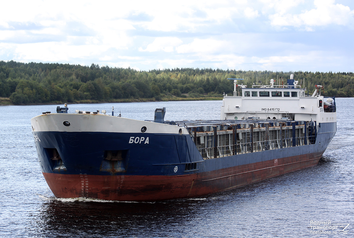 Бора
