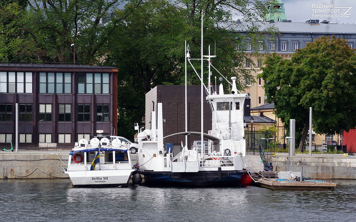 Delfin XII, Centralfärjan