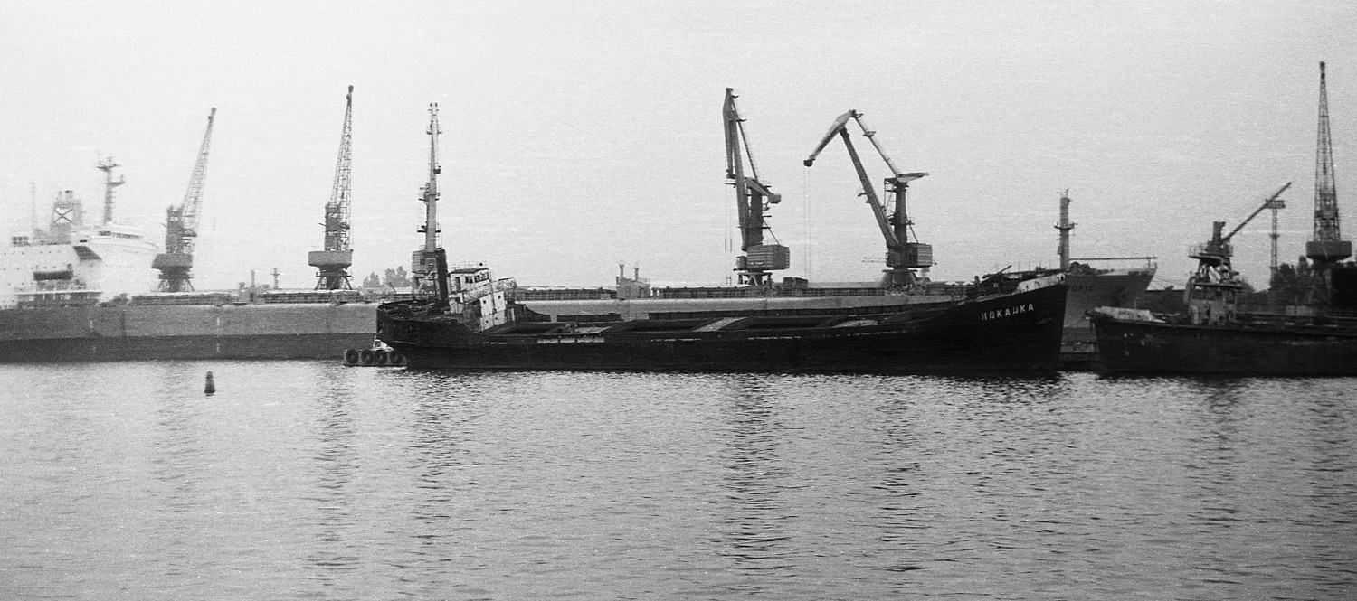 Olga Topic, Иоканка