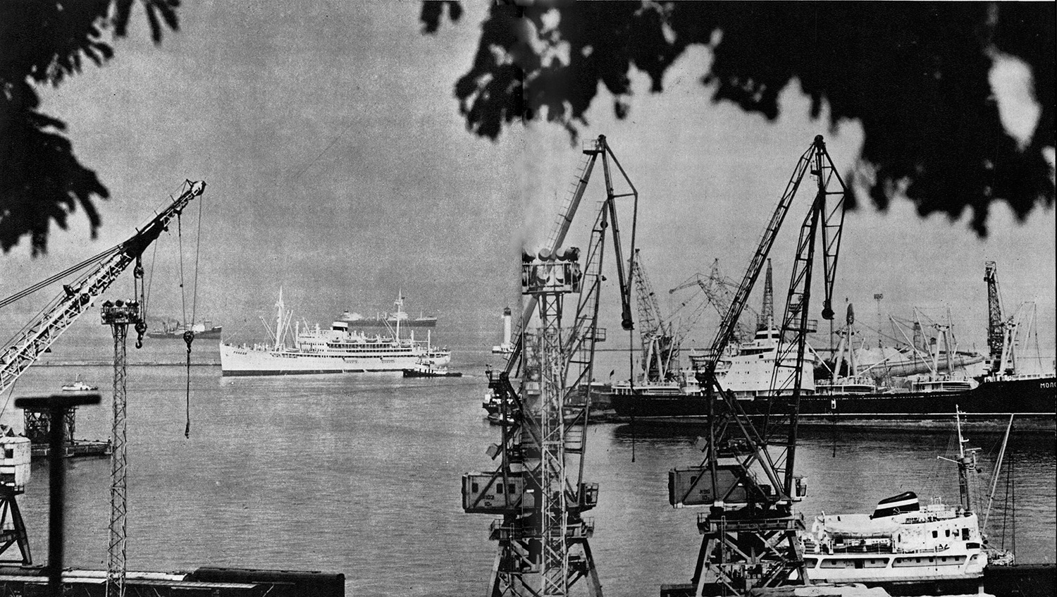 Победа, Циклон, Молочанск. Книги, фотоальбомы и периодические издания