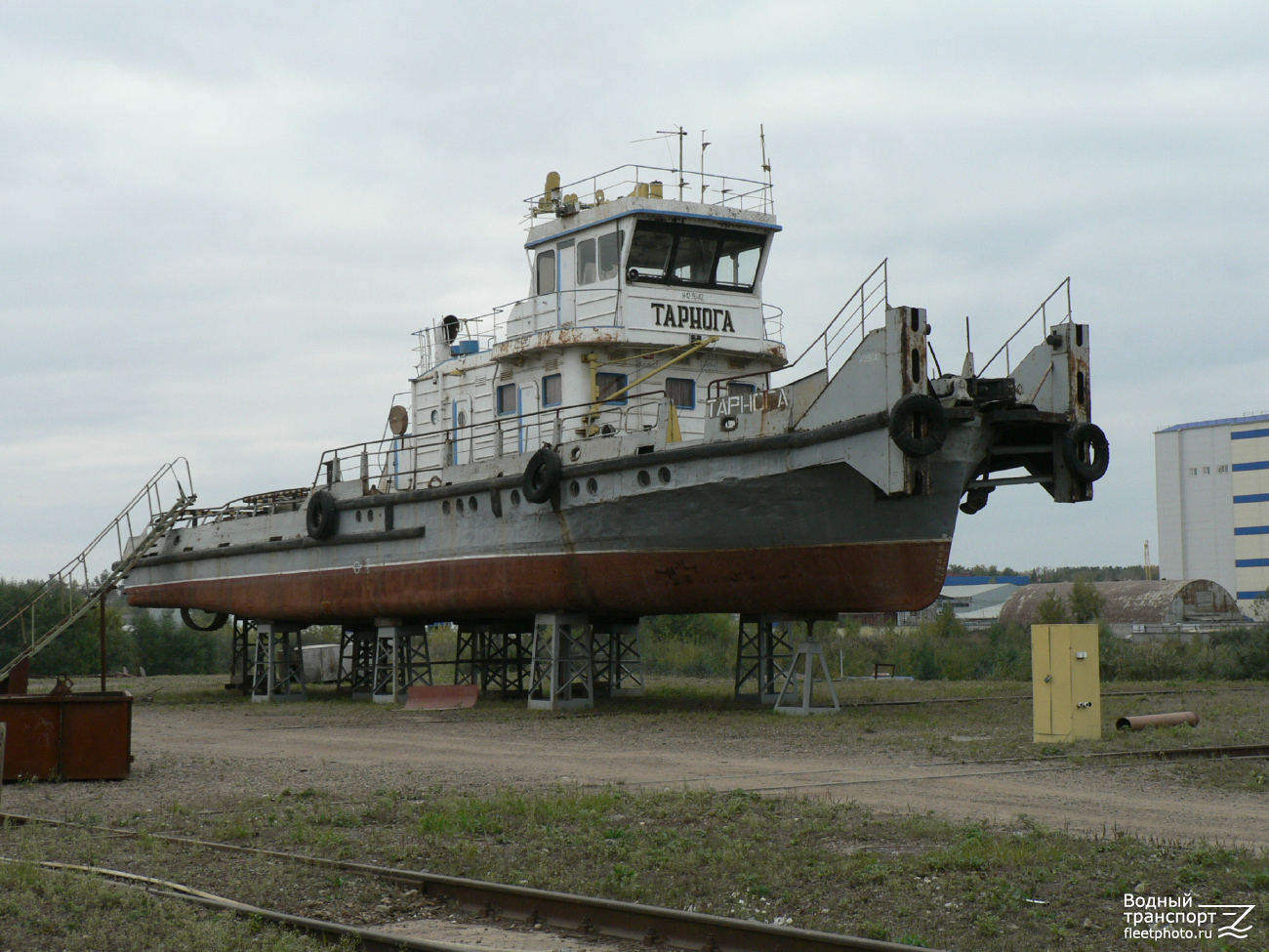 Тарнога