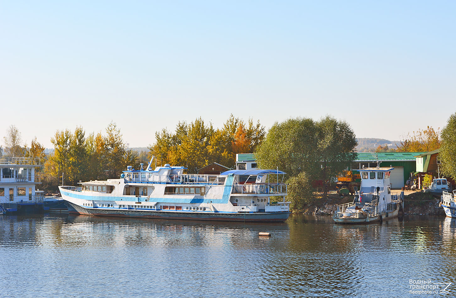 Виксон, Странник