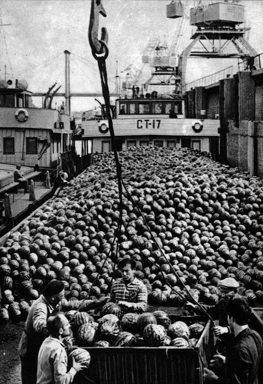 СТ-17. Книги, фотоальбомы и периодические издания