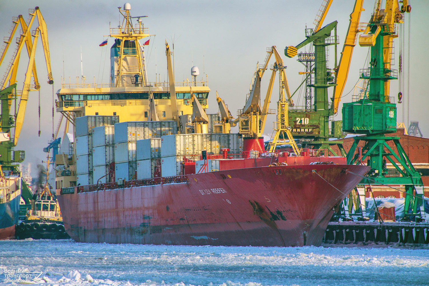 Ditlev Reefer