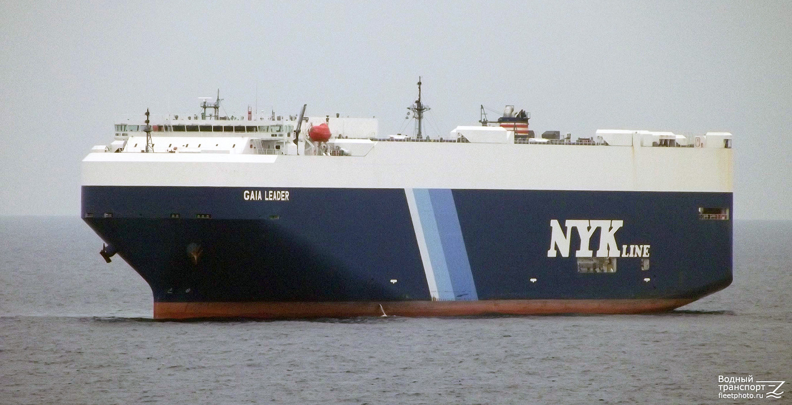 Gaia Leader